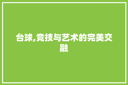 台球,竞技与艺术的完美交融