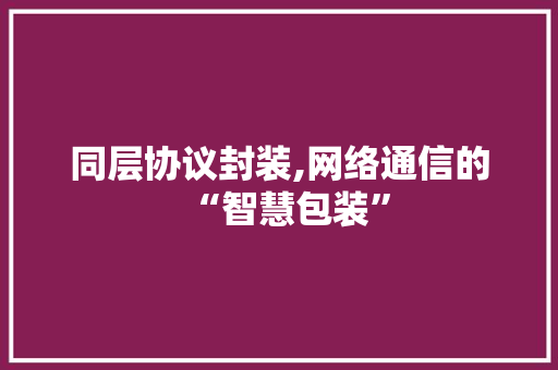同层协议封装,网络通信的“智慧包装” 百度SEO