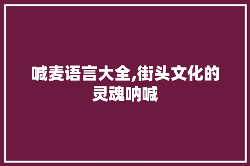 喊麦语言大全,街头文化的灵魂呐喊