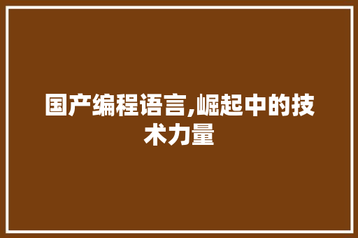 国产编程语言,崛起中的技术力量
