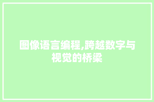 图像语言编程,跨越数字与视觉的桥梁