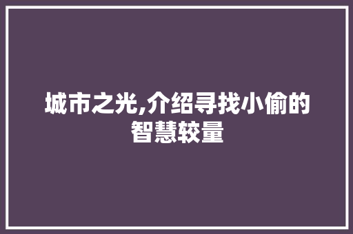 城市之光,介绍寻找小偷的智慧较量 搜狗SEO