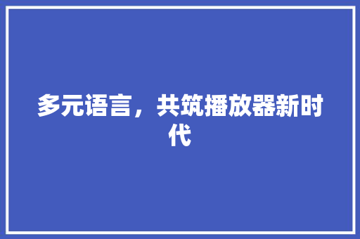 多元语言，共筑播放器新时代