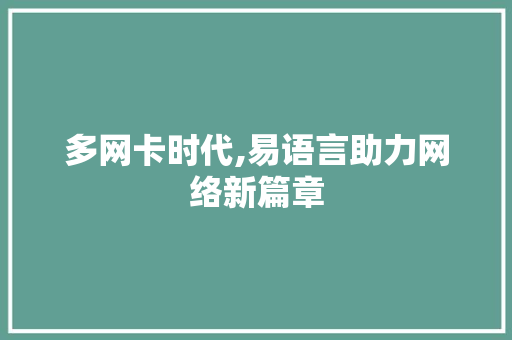 多网卡时代,易语言助力网络新篇章