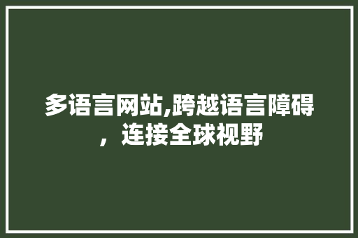 多语言网站,跨越语言障碍，连接全球视野 搜狗SEO