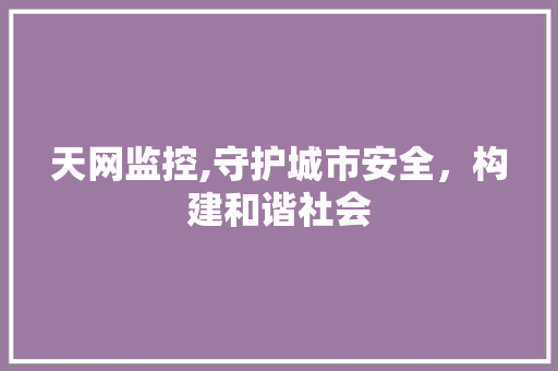 天网监控,守护城市安全，构建和谐社会 GoogleSEO