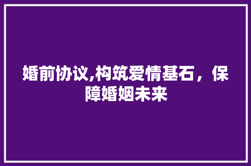 婚前协议,构筑爱情基石，保障婚姻未来 必应SEO