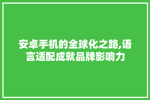 安卓手机的全球化之路,语言适配成就品牌影响力 百度SEO