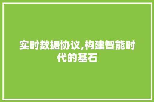 实时数据协议,构建智能时代的基石 百度SEO