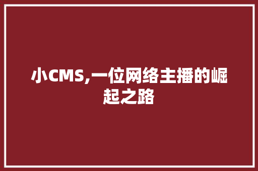 小CMS,一位网络主播的崛起之路 搜狗SEO