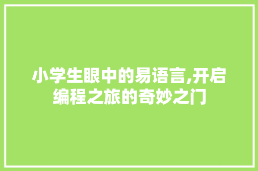 小学生眼中的易语言,开启编程之旅的奇妙之门
