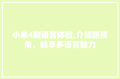 小米4刷语言体验,介绍新视角，畅享多语言魅力 GoogleSEO