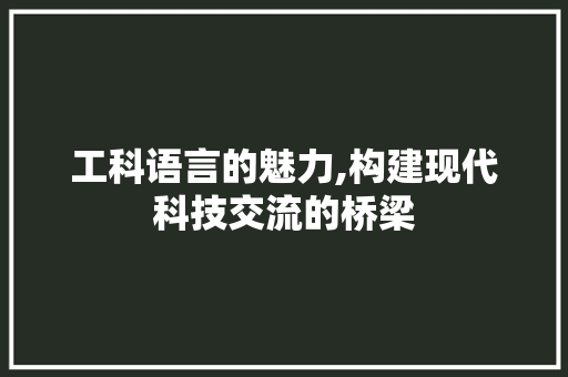 工科语言的魅力,构建现代科技交流的桥梁 神马SEO