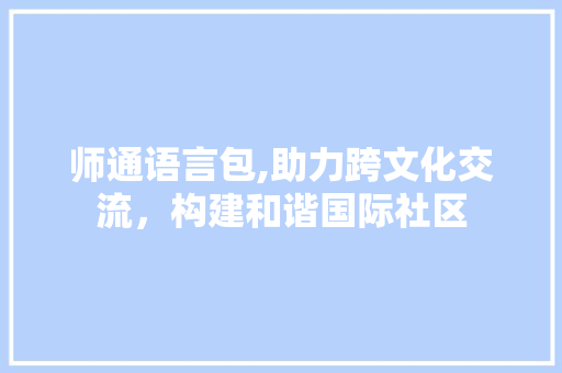师通语言包,助力跨文化交流，构建和谐国际社区