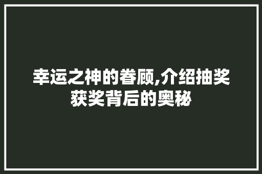 幸运之神的眷顾,介绍抽奖获奖背后的奥秘