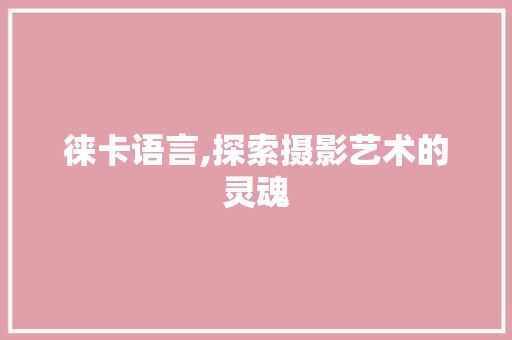徕卡语言,探索摄影艺术的灵魂 神马SEO