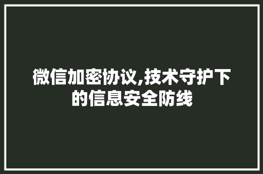 微信加密协议,技术守护下的信息安全防线 百度SEO