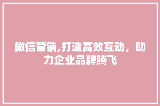 微信营销,打造高效互动，助力企业品牌腾飞 搜狗SEO
