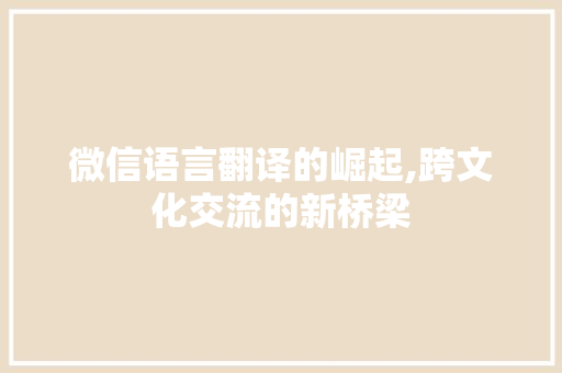 微信语言翻译的崛起,跨文化交流的新桥梁 神马SEO