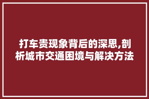 打车贵现象背后的深思,剖析城市交通困境与解决方法