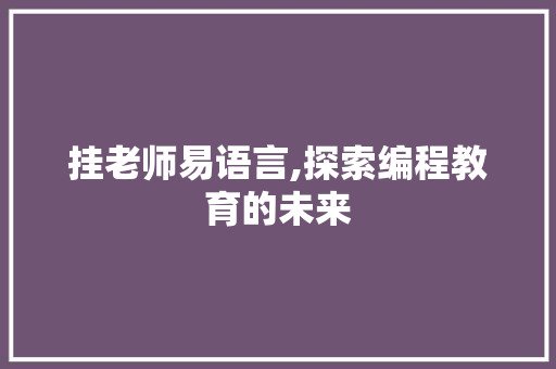 挂老师易语言,探索编程教育的未来 必应SEO