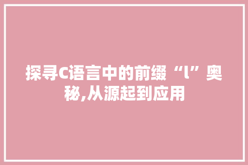 探寻C语言中的前缀“l”奥秘,从源起到应用 GoogleSEO