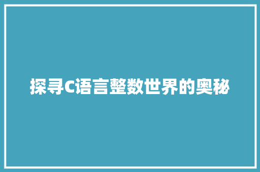 探寻C语言整数世界的奥秘 必应SEO