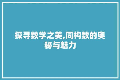 探寻数学之美,同构数的奥秘与魅力