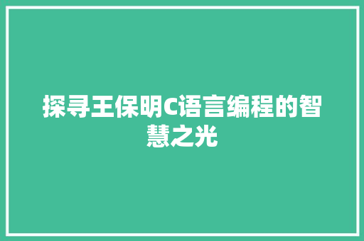 探寻王保明C语言编程的智慧之光