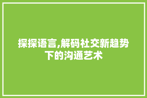 探探语言,解码社交新趋势下的沟通艺术 神马SEO