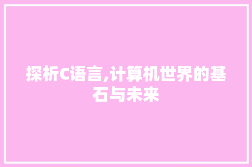 探析C语言,计算机世界的基石与未来 百度SEO