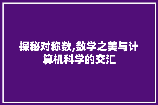 探秘对称数,数学之美与计算机科学的交汇 必应SEO