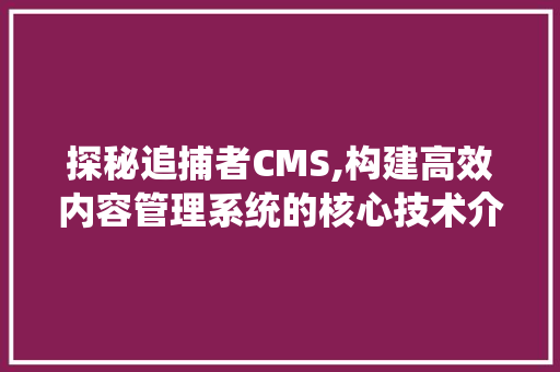 探秘追捕者CMS,构建高效内容管理系统的核心技术介绍 百度SEO