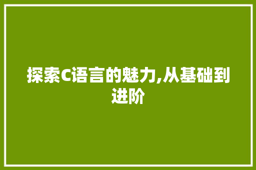 探索C语言的魅力,从基础到进阶