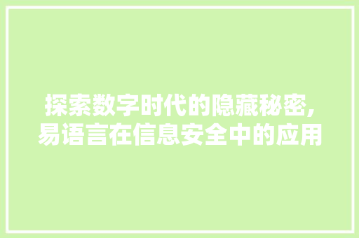 探索数字时代的隐藏秘密,易语言在信息安全中的应用 必应SEO