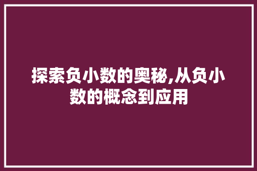 探索负小数的奥秘,从负小数的概念到应用