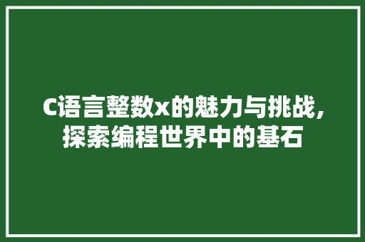 C语言整数x的魅力与挑战,探索编程世界中的基石 搜狗SEO