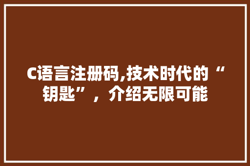 C语言注册码,技术时代的“钥匙”，介绍无限可能 必应SEO