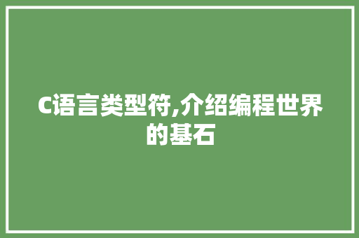 C语言类型符,介绍编程世界的基石 必应SEO
