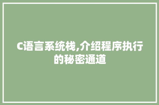C语言系统栈,介绍程序执行的秘密通道