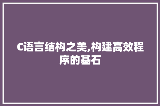 C语言结构之美,构建高效程序的基石 神马SEO