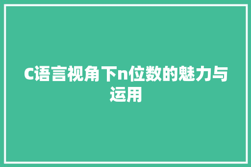 C语言视角下n位数的魅力与运用 百度SEO