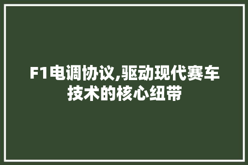 F1电调协议,驱动现代赛车技术的核心纽带 神马SEO