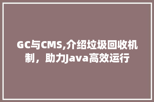 GC与CMS,介绍垃圾回收机制，助力Java高效运行 神马SEO