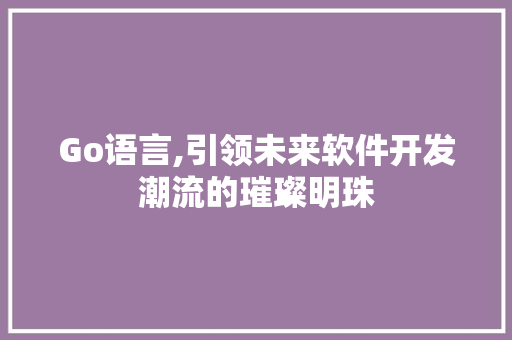 Go语言,引领未来软件开发潮流的璀璨明珠 百度SEO