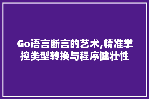 Go语言断言的艺术,精准掌控类型转换与程序健壮性