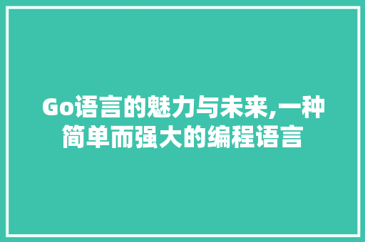 Go语言的魅力与未来,一种简单而强大的编程语言 GoogleSEO