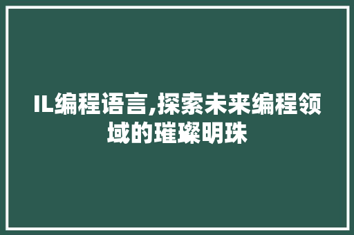 IL编程语言,探索未来编程领域的璀璨明珠 必应SEO