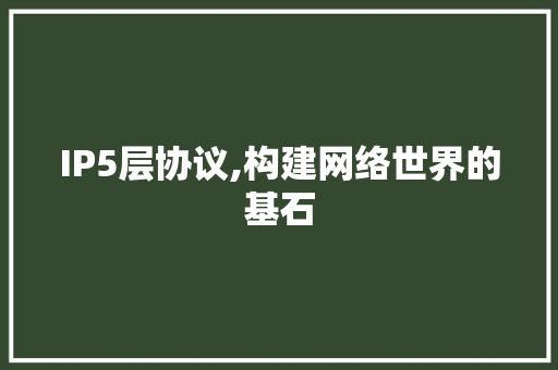 IP5层协议,构建网络世界的基石 GoogleSEO