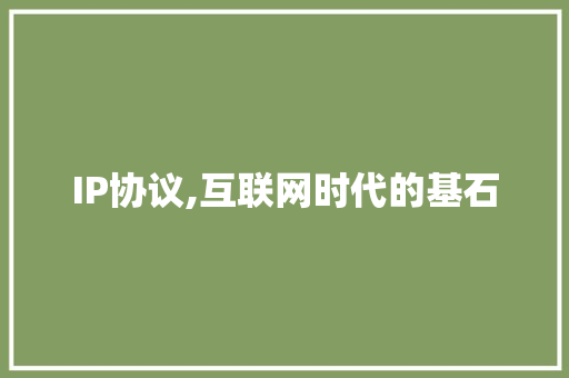 IP协议,互联网时代的基石 神马SEO